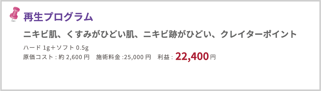 再生プログラム